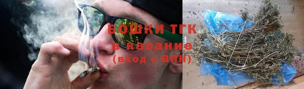 прущие грибы Верхний Тагил