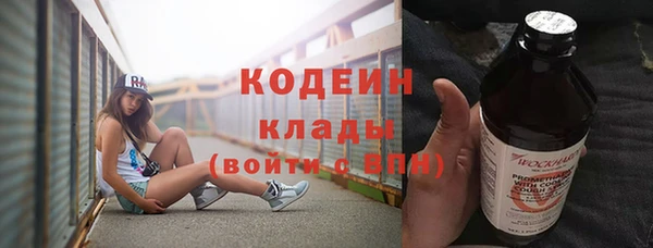 прущие грибы Верхний Тагил